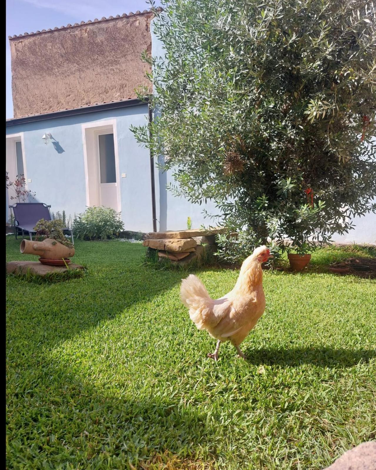 B&B Il Borgo Delle Emozioni Dolianova Ngoại thất bức ảnh
